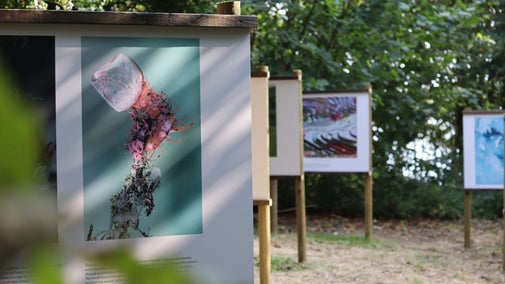 Photographic exhibition in the garden at Coleton Fishacre, Devon